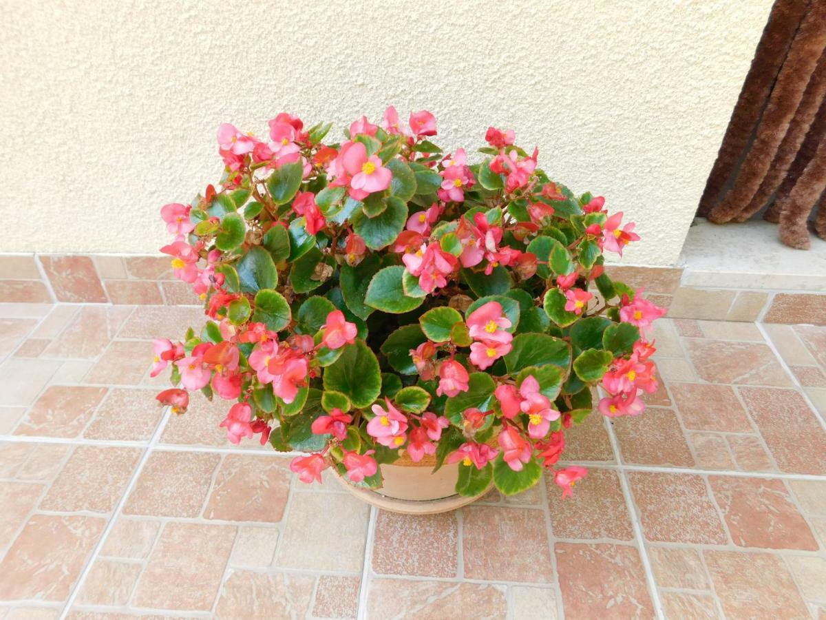 בריביר Apartment Varelija מראה חיצוני תמונה